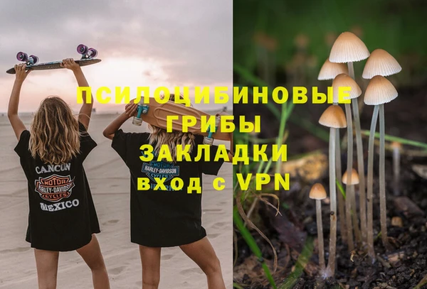 мескалин Алексин